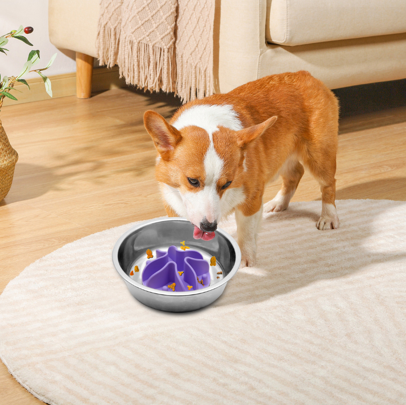 Large Breed Dog Automatic Slow Feeder Waterproof Eco-Friendly Pet Bowl with Solid Pattern Food Grade Silicone Mold