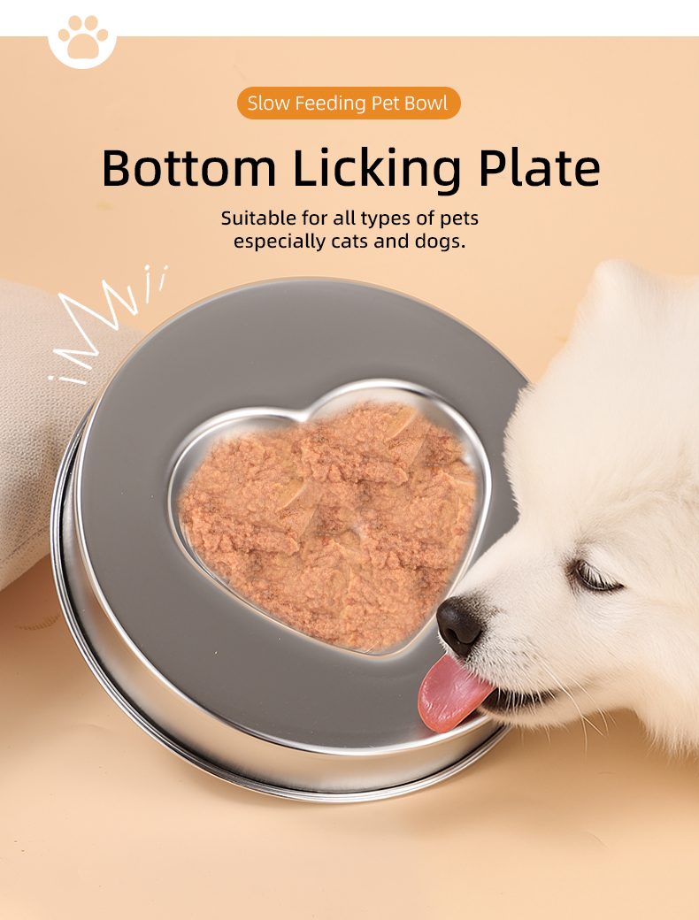 Dog Bowl Gallery 6
