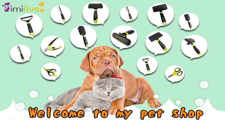 Product Main Banner