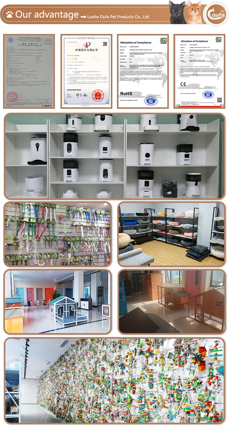 Our Business Advantages