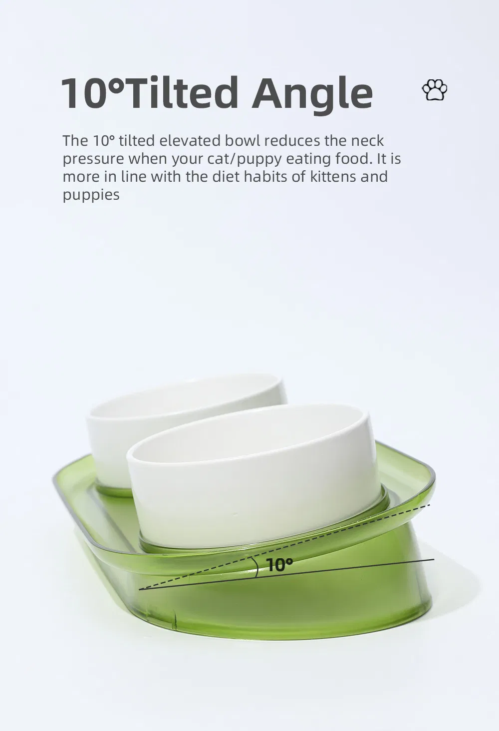 10 Degree Tilted Angle Pet Bowl Anti Overflow Dog Cat Bowl for Small Cats Dogs