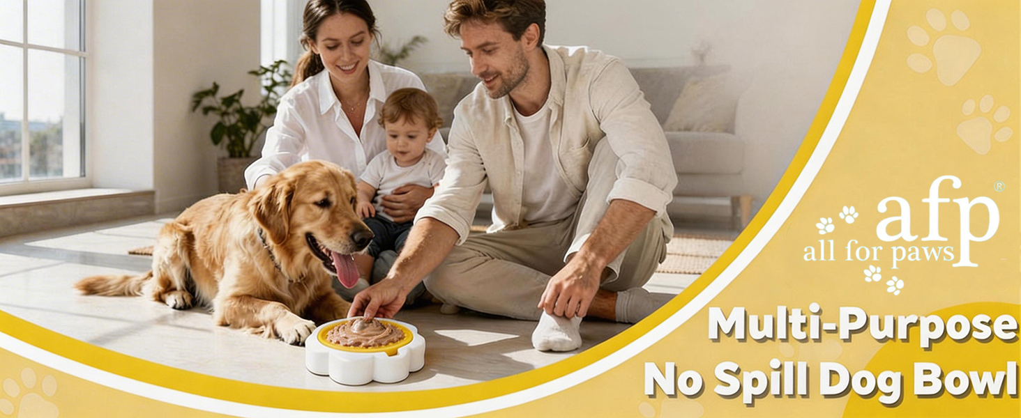 Pet Toy Feature