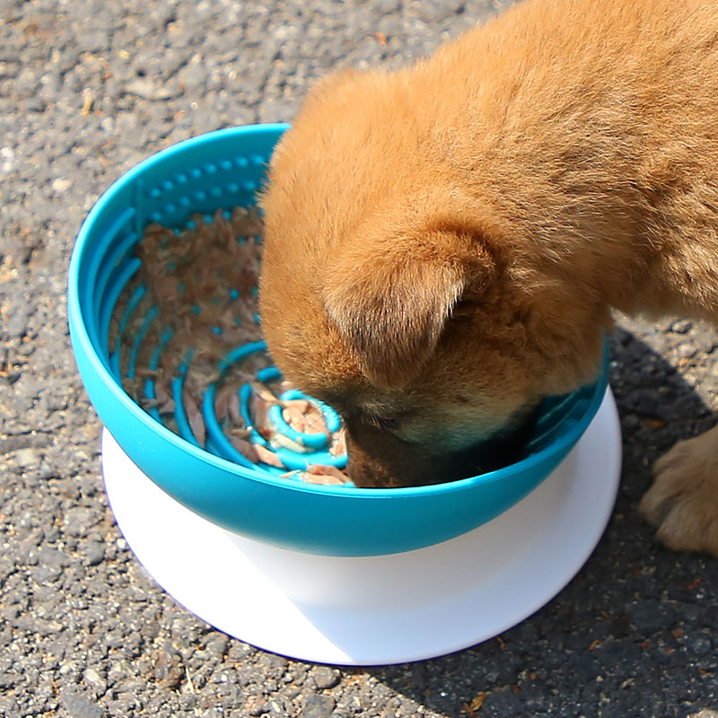 Eco Friendly Custom Raised Elevated Silicone Pet Food Bowl Slow Feeder Dog Bowls
