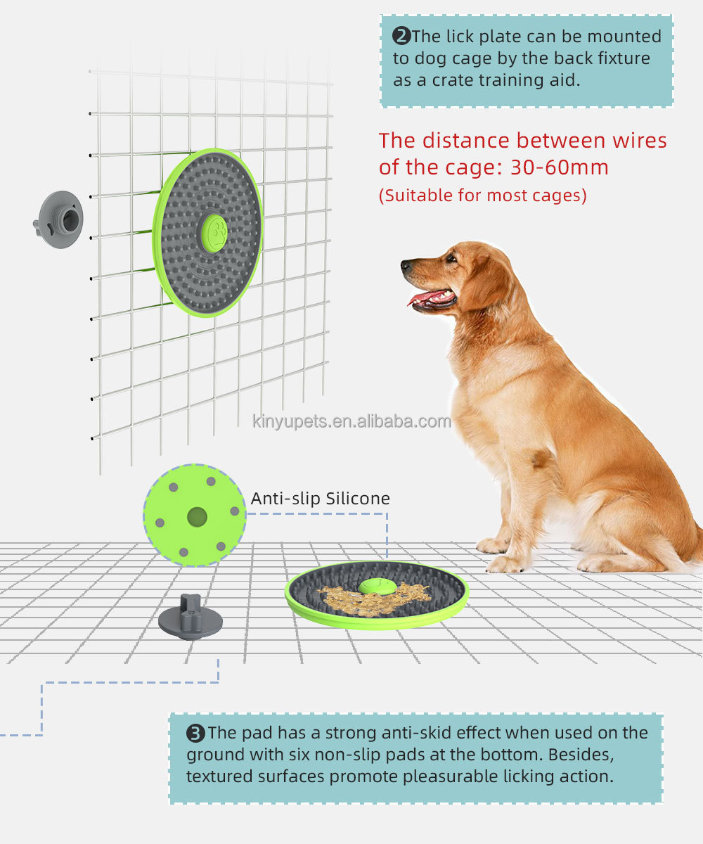 Pet Bowl Details 7