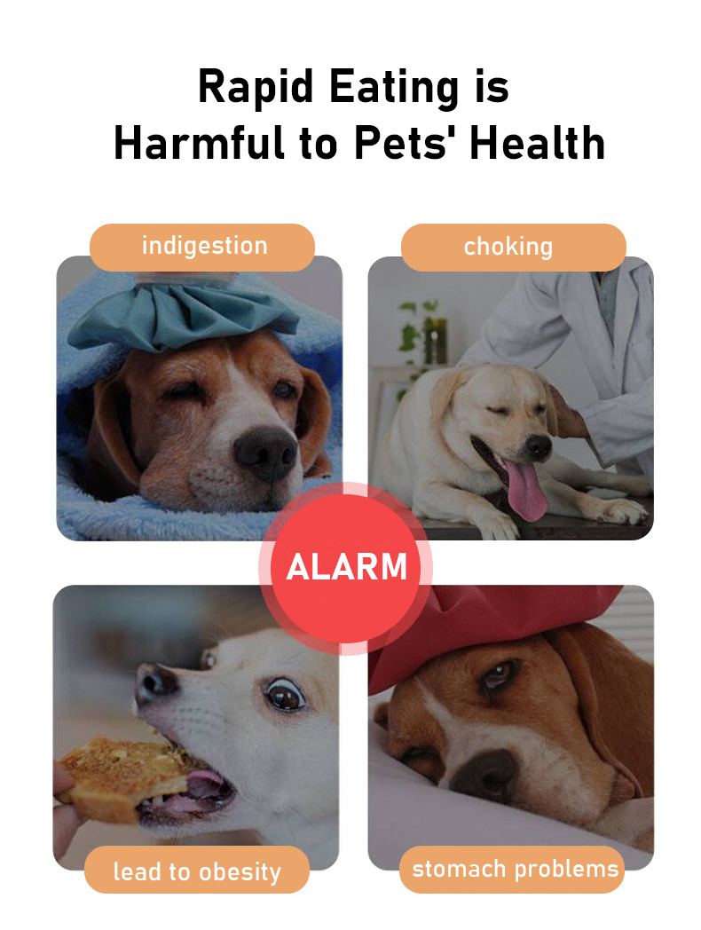 Pet product feature 1