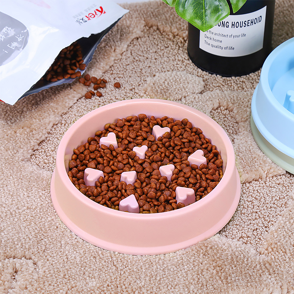 Pet Product Showcase 1
