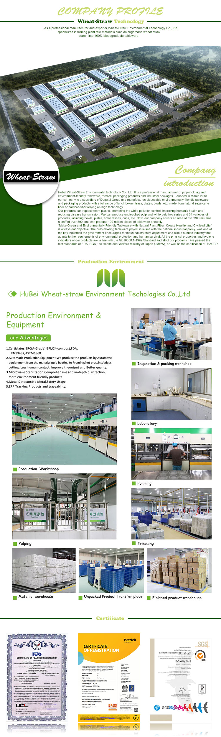 Natural sugarcane fiber details