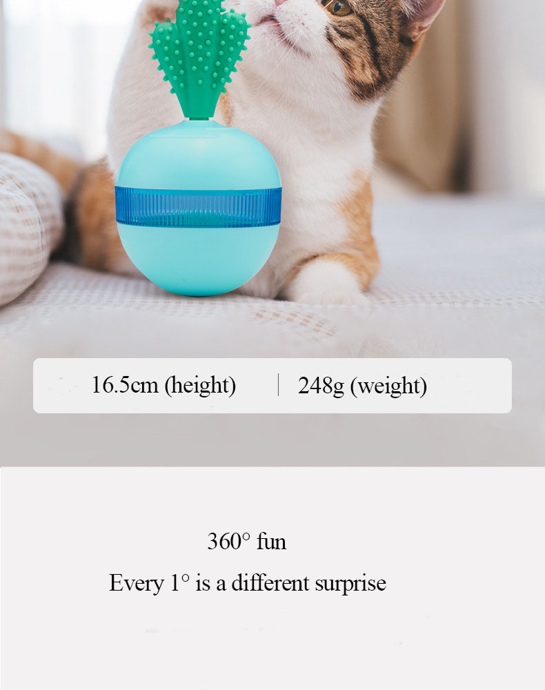 Pet Product Showcase 3