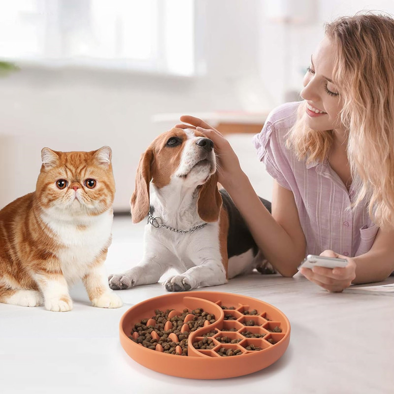 Custom Slow Feeder Dog Bowls Anti-Choking Puzzle Pet Food Bowls Non-Slip Dog Feeding Bowls
