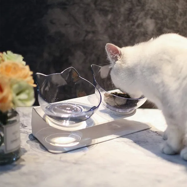 15° Tilted Cat Food Water Bowls with Raised Stand for Neck Protection