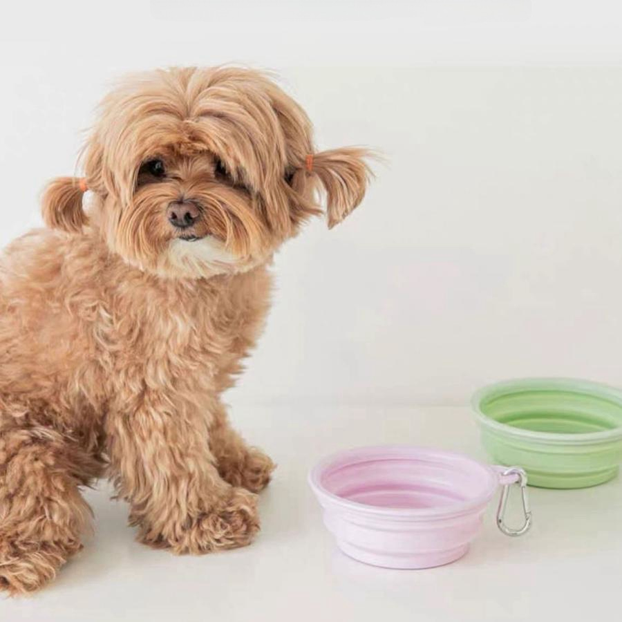 Popular Pet Collapsible Bowls Portable Pet Feeding Watering Dish for Cats Dogs