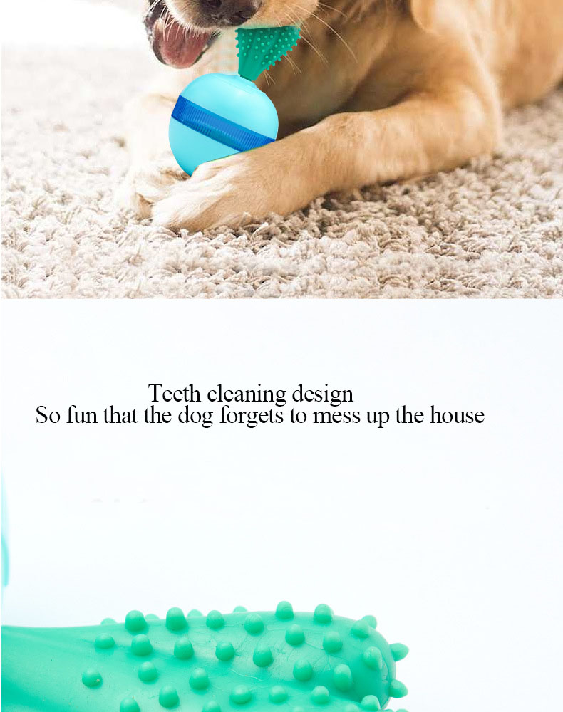 Pet Product Showcase 6