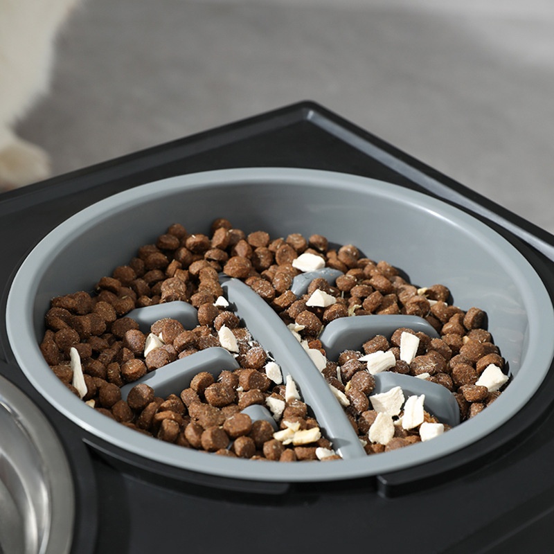 Stainless Steel Adjustable Elevated Pet Bowl for Cats and Dogs Double Bowl Slow Feeder Anti-Choking Feeding Station