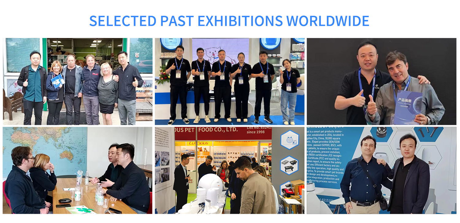 Exhibition View 2