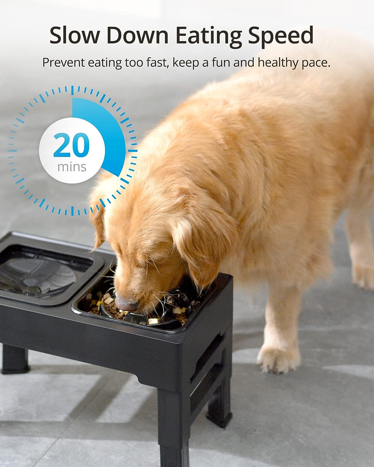 Adjustable Elevated Dog Bowl Grid Image 9