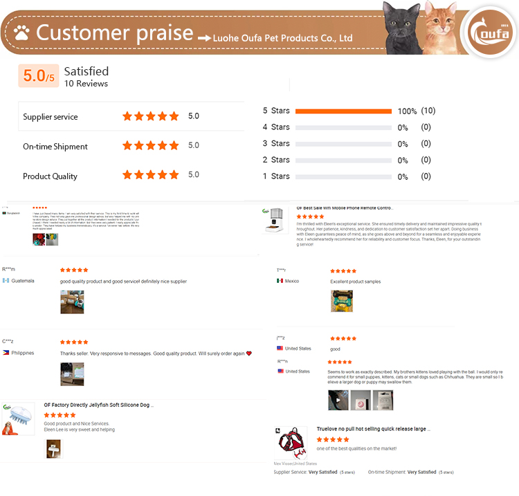 Customer Reviews and Feedback