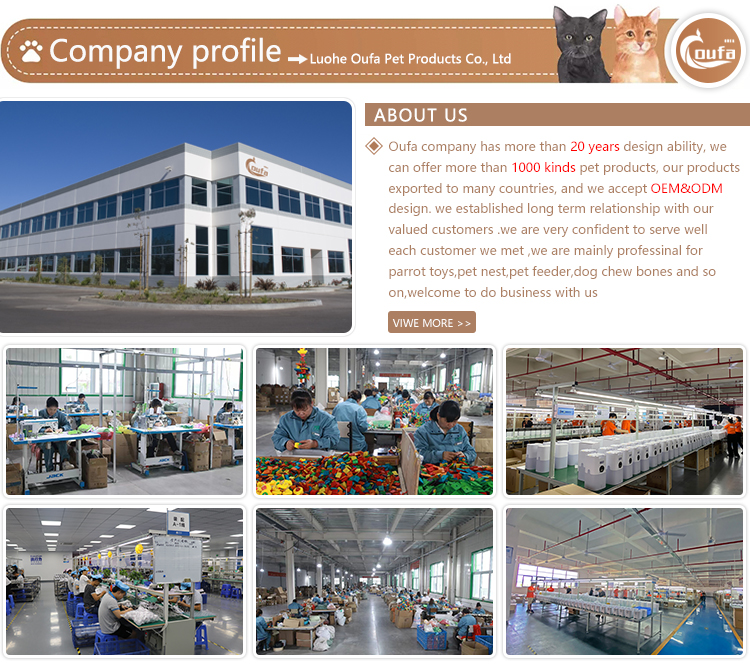 Factory Profile