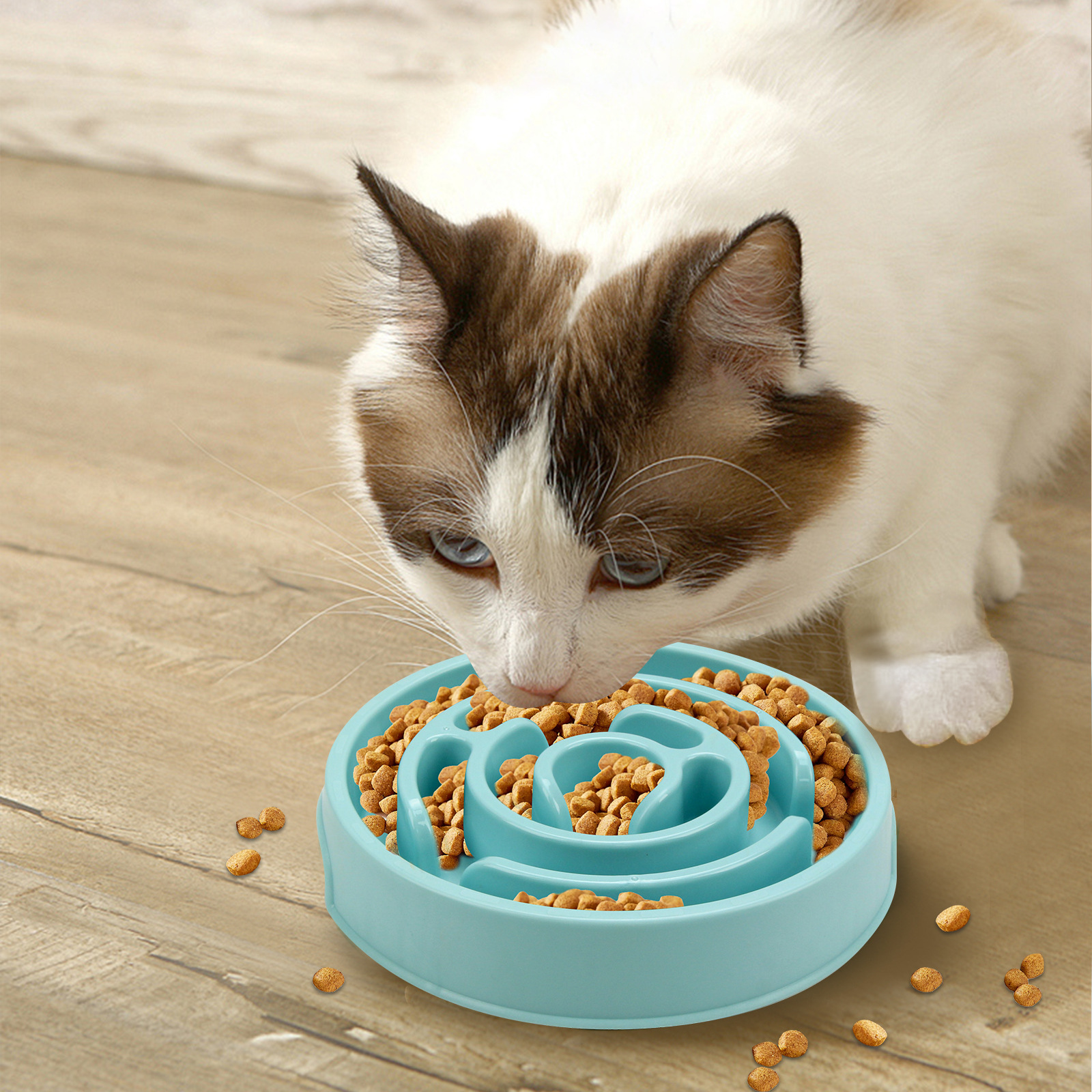 Dog Slow Food Bowl details 6