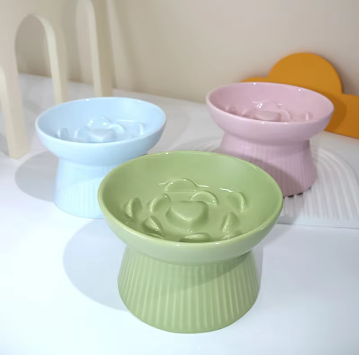 Raised cat bowl design benefits