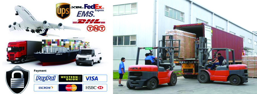 Logistics and Transport