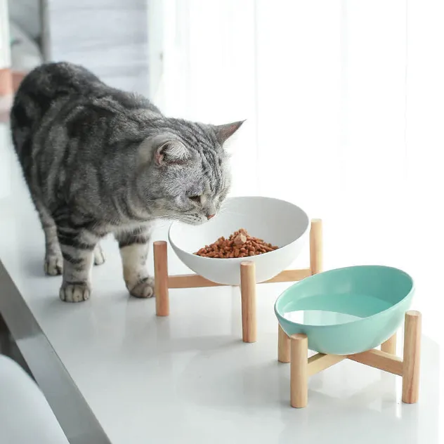 Elevated Tilted Ceramic Cat Bowl with Wooden Stand for Cats