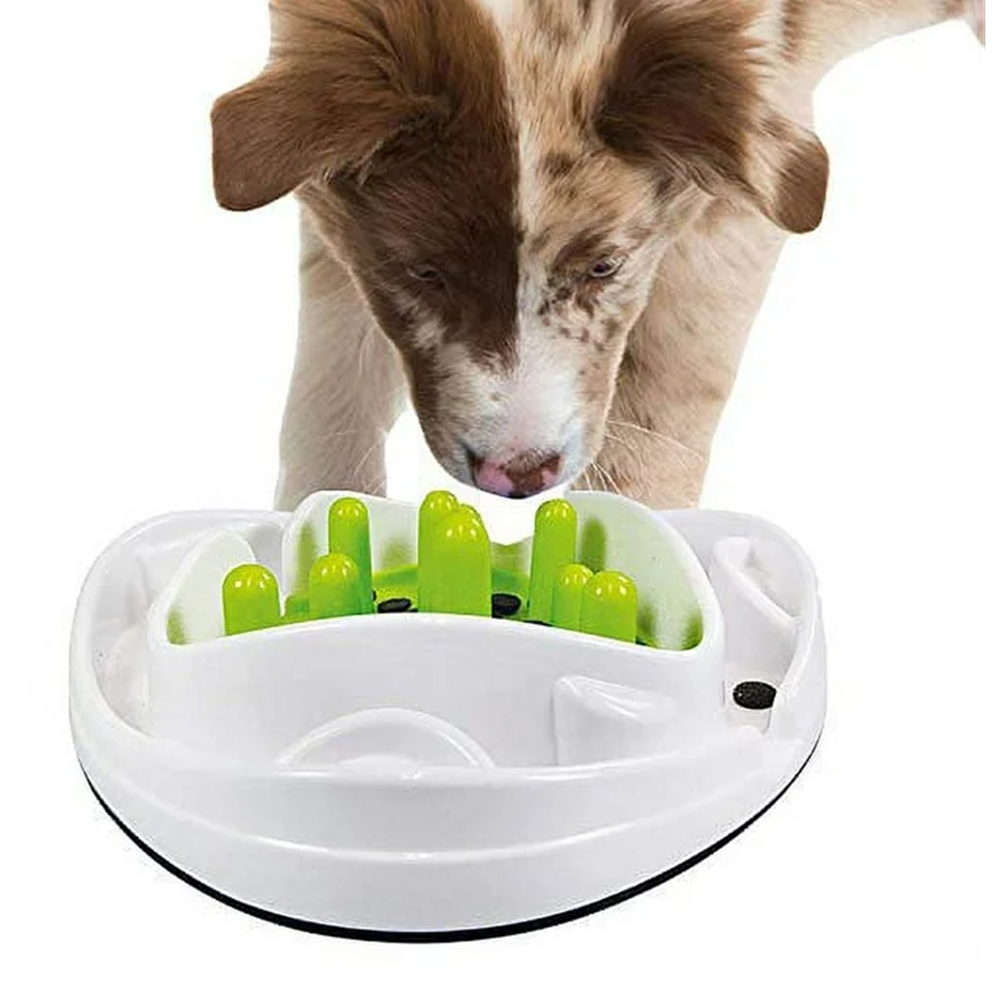 AFP Interactives Pet Dog Slow Feeder Food Maze Toy 2 Interchangeable Slow Feeding Mazes Treat Dispenser for Dogs Healthy Eating