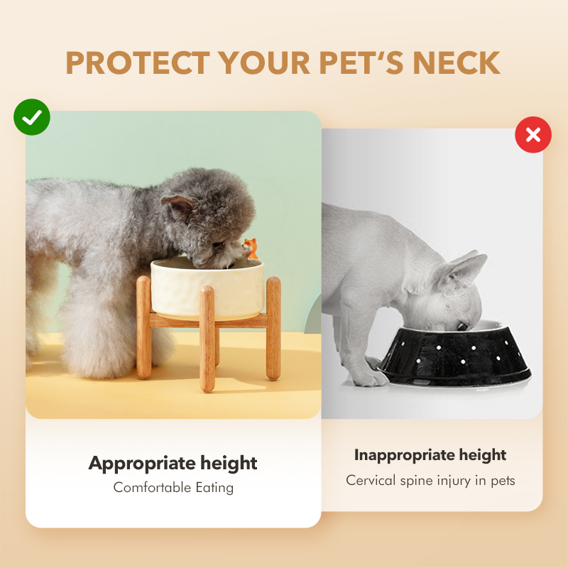 Shamitao Durable Eco-Friendly Ceramic Pet Bowl with Elevation Guard Neck Custom Logo Wholesale Portable Cat &amp; Dog Feeder