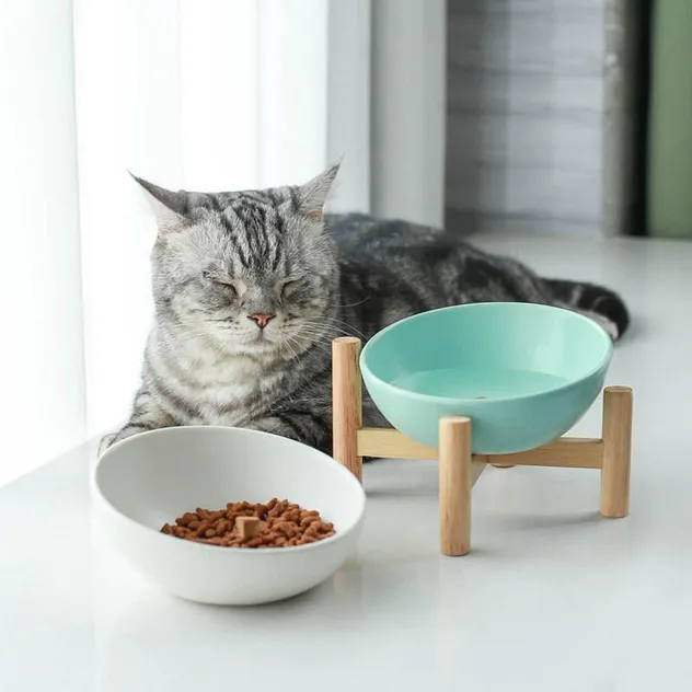 Elevated Tilted Ceramic Cat Bowl with Wooden Stand for Cats