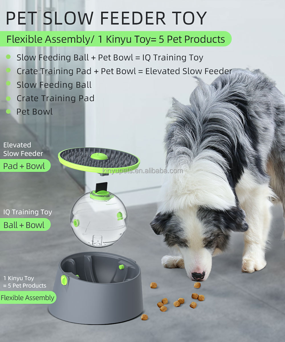 Pet Bowl Details 1