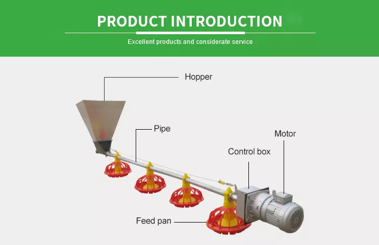 Automatic Pan Feeding System