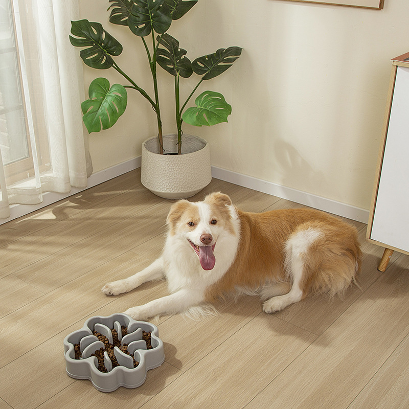 Cat &amp; Dog Slow Feeder Anti-Choke Non-Slip Large &amp; Medium Breed Plastic Pet Bowl for Indoor Use