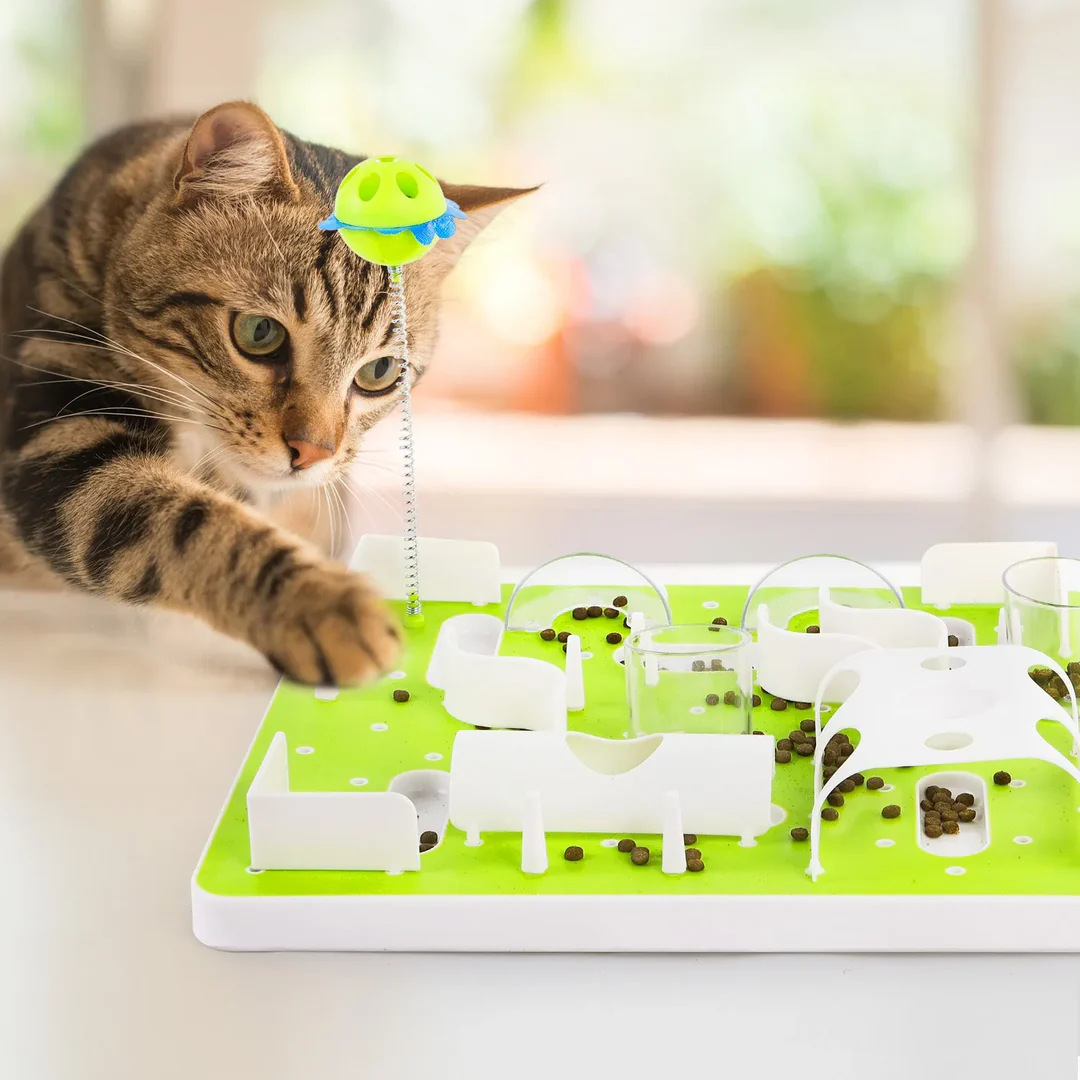 All-for-Paws Cat Toy Food Dispenser Kitty Puzzle Feeder Pet Cat Interactive Treat Maze