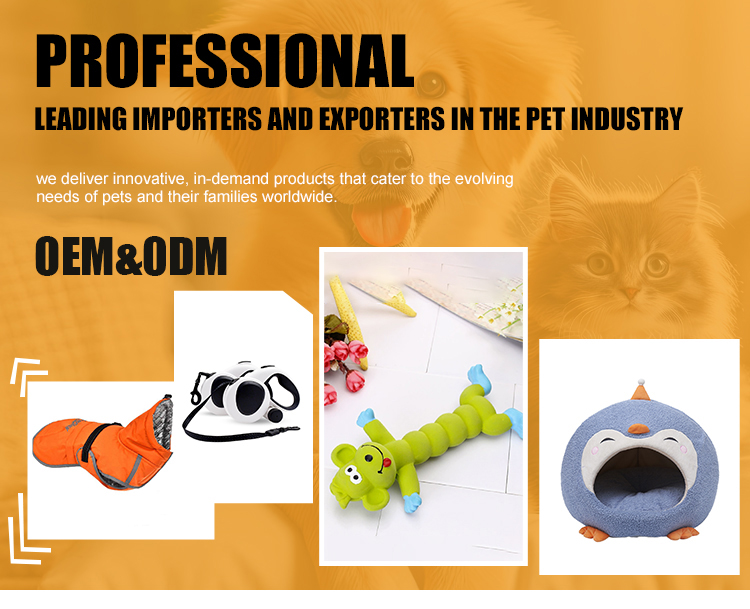 Pet feeder introduction