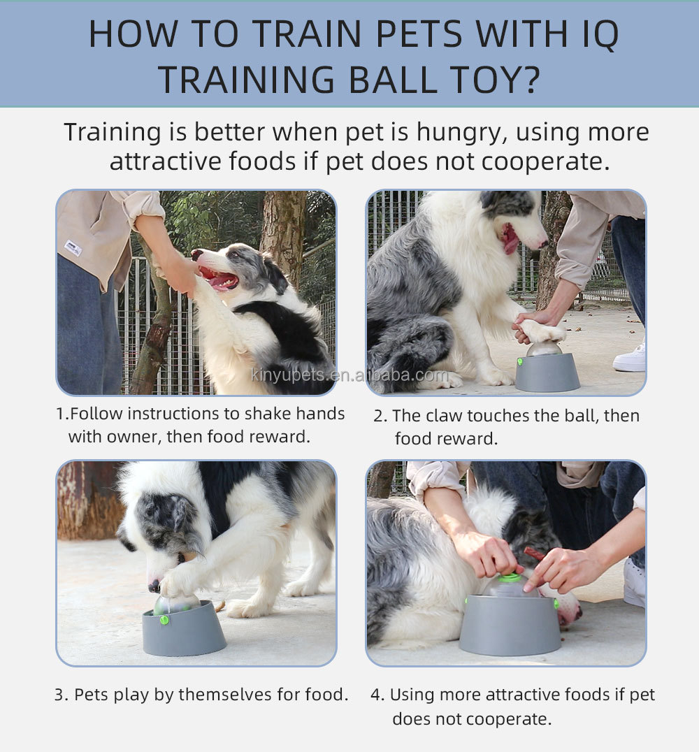 Pet Bowl Details 10
