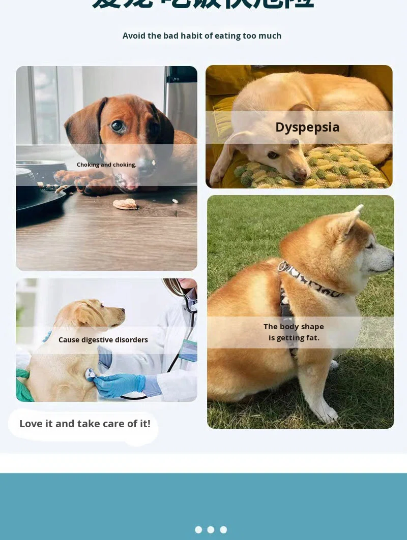 Pet supplies showcase 2