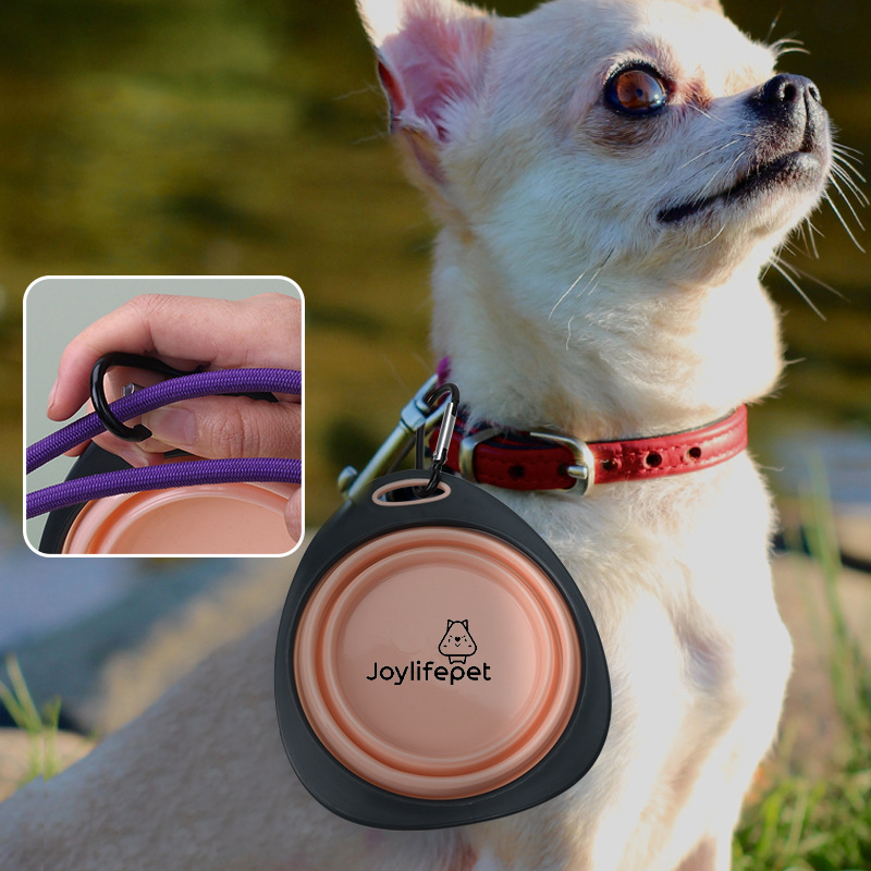 Collapsible Pet TPR Dog Food Water Bowl Outdoor Camping Travel Portable Folding Pet Bowl Dishes With Carabiner Pet Products