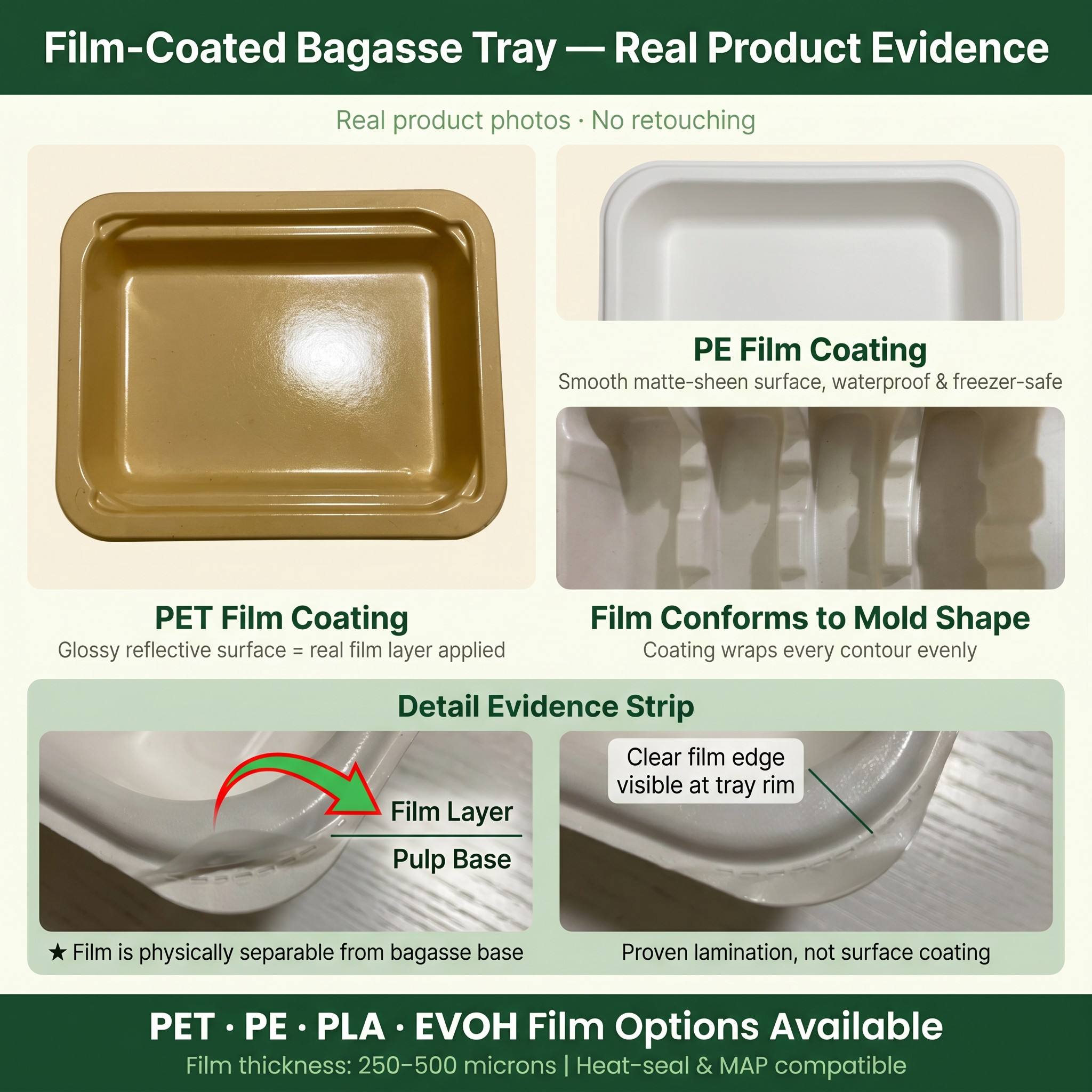Custom Service Biodegradable Compostable Sugarcane Bagasse Pulp 5 Compartment Meal Trays With Lid