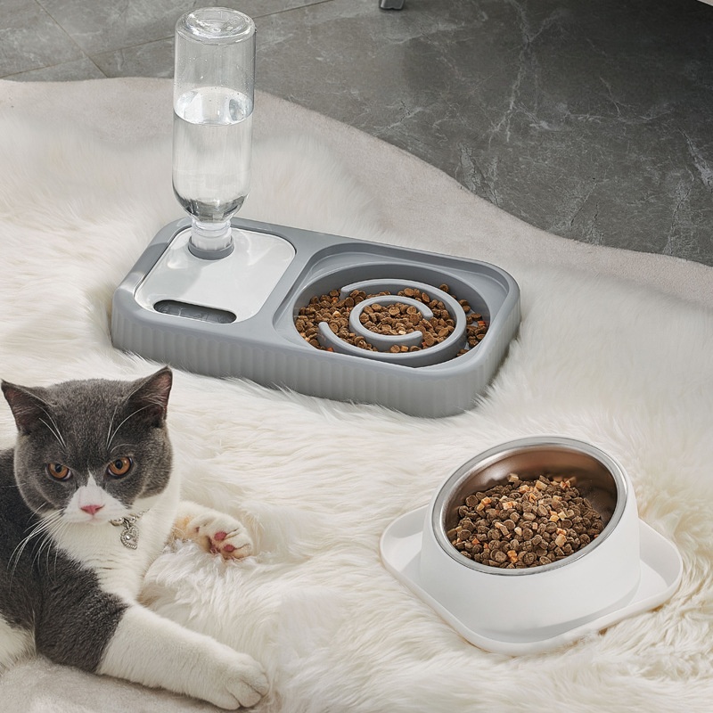 Beveled Anti-Tipping Dog Bowls Cat Food and Water Bowl Set with Water Dispenser Slow Feeder and Stainless Steel Bowl for Pets