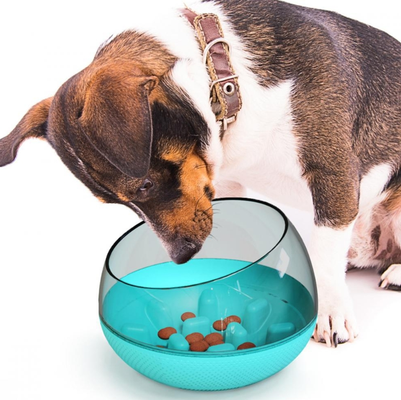 Amazon Pet Supplies Manufacturer Food Bowl Slow-Eating Dog Tableware Untoppable Slow-Eating Dog Bowl