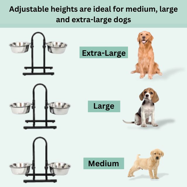 Product Details 2