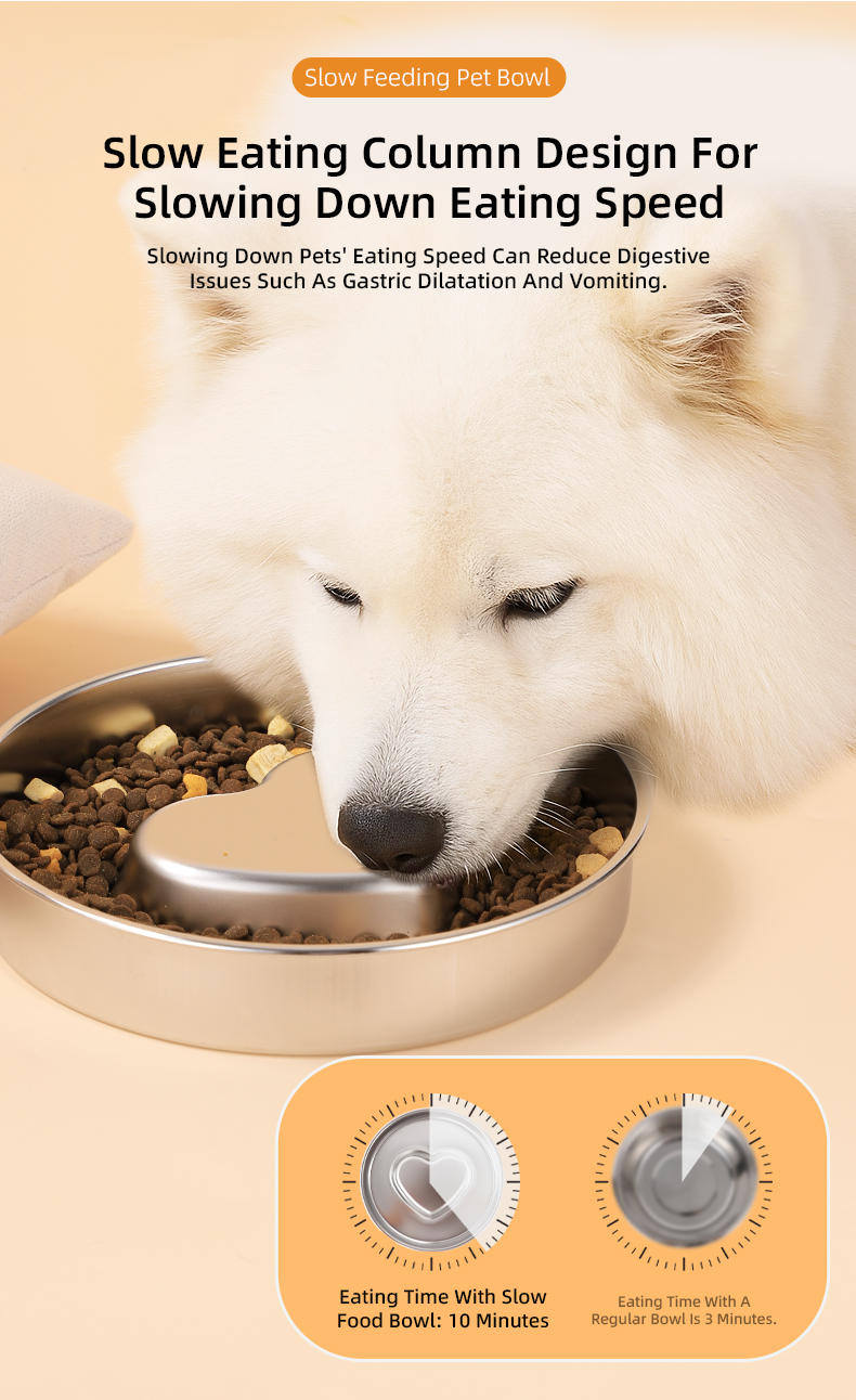 Dog Bowl Gallery 4