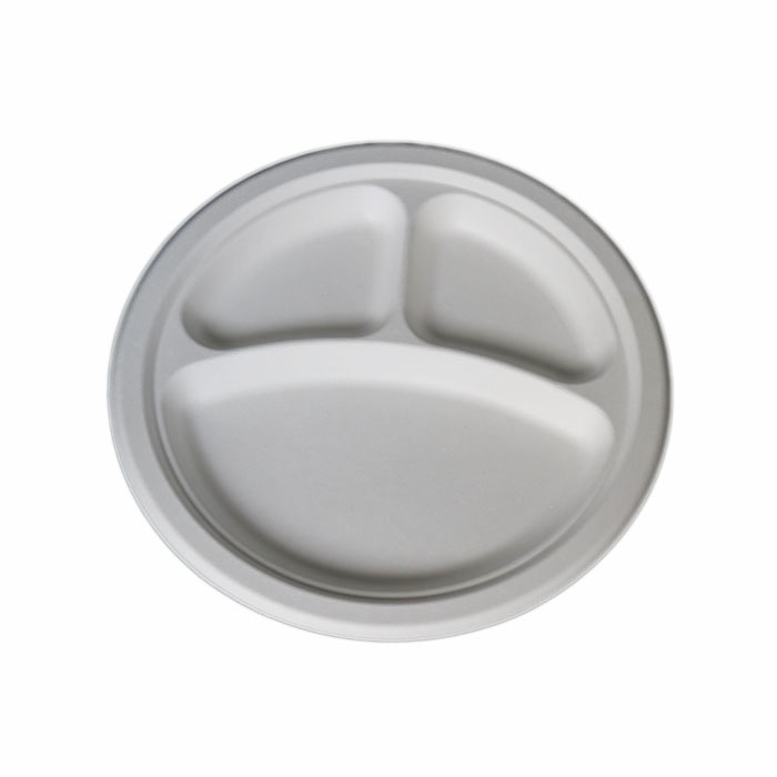 Disposable Plastic Biodegradable Compostable BPI Certified Customizable Size Shape Multi-Compartment Rectangular Camping Plates