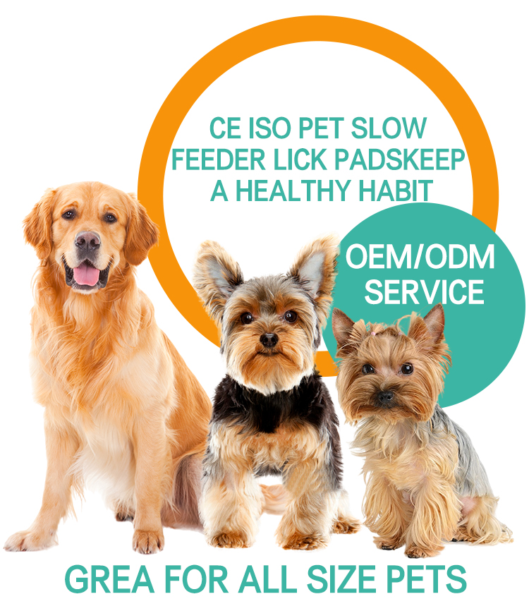Pet Silicone Slow Feeder Intro