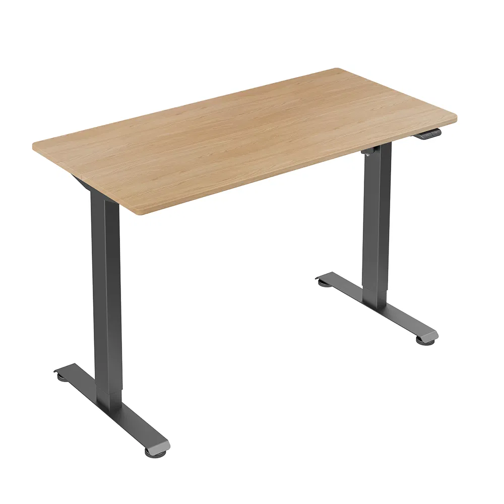 Good Service Modern Metal Jiecang Work Station Office Furniture Adjustable Table Jc35ts-R12r-Th
