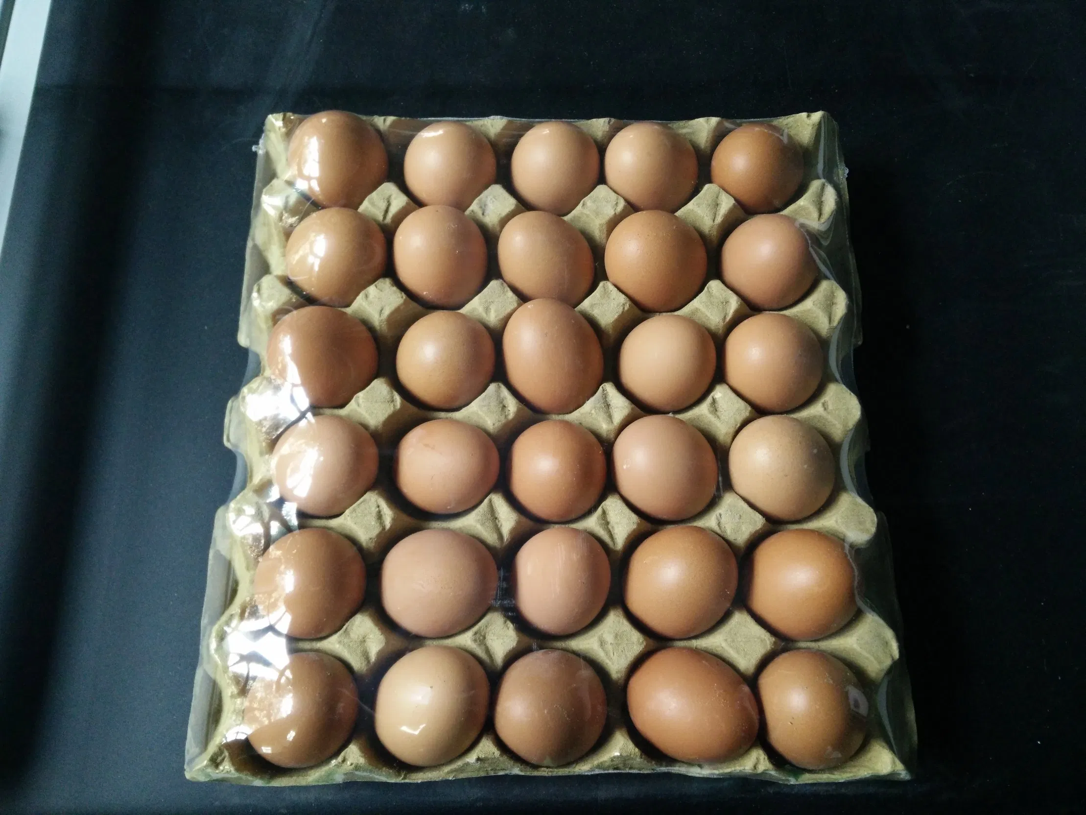 Chengqi CE Approved Shrink Packaging System