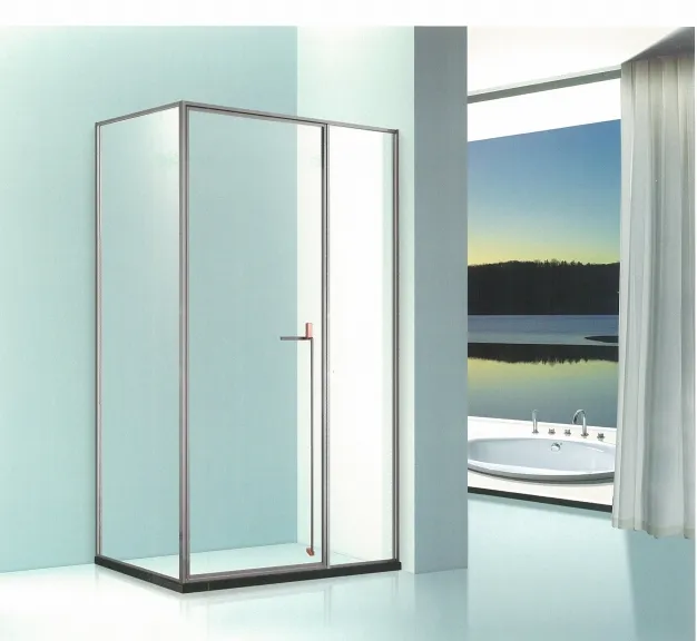Shower Door Design