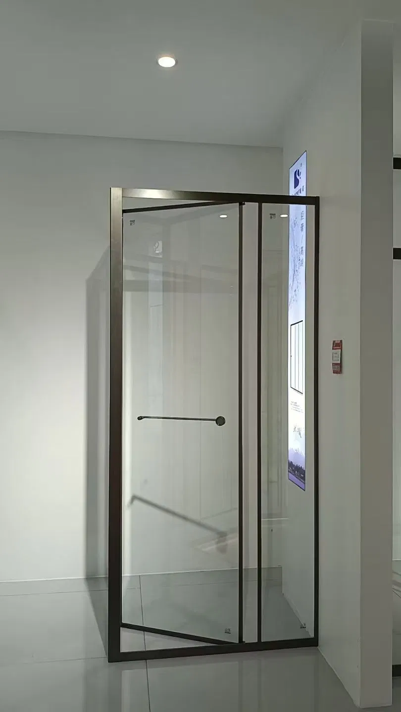 Modern Double Sliding Glass Bathroom Enclosure Shower Door Solution