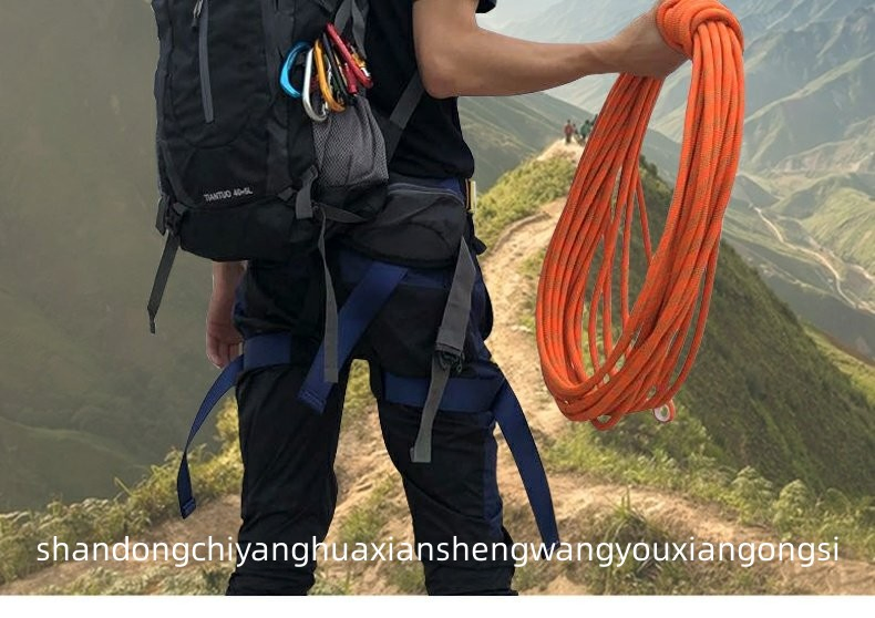 Safety Lifeline System for Fall Arrest