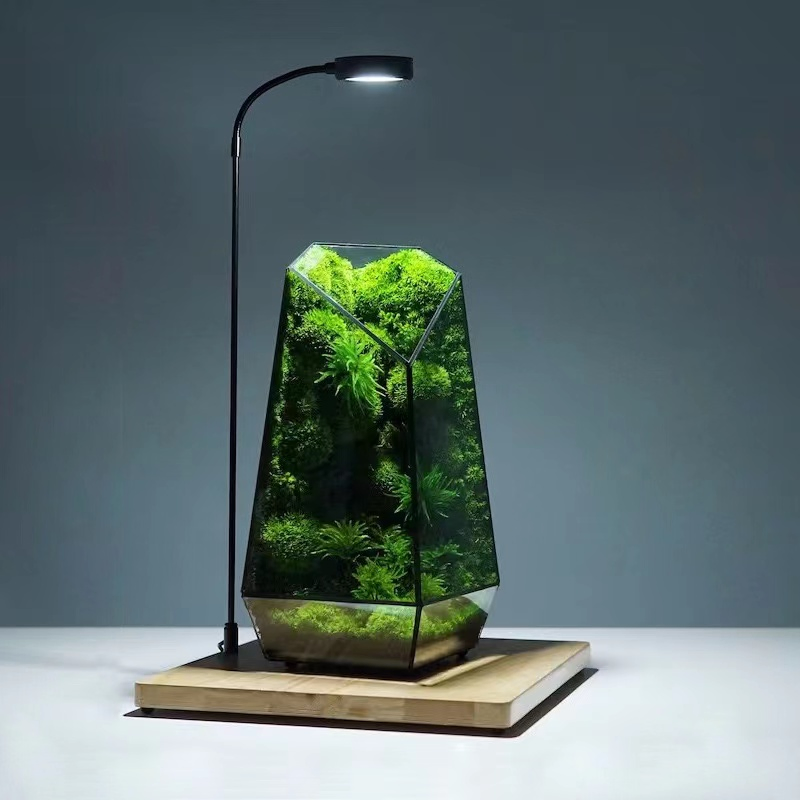 Home Decoration Crafts Creative Miniature Landscape Container Garden Decor Simple Living Room Ornaments Interior Accessories