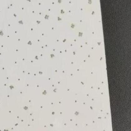 Premium Acoustic Ceiling Solutions with Versatile Custom Mineral Fiber Panels